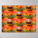 Zoek naar oranje bloemen posters Patroon