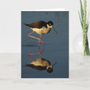 Recherche de oiseaux aquatiques vœux cartes Nature