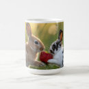 Recherche de deux lapins tasses Animal