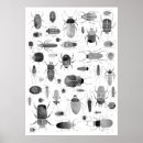 Recherche de motif aquarelle posters Nature