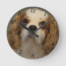 Zoek naar cavalier king charles spaniel klokken Puppy