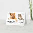 Zoek naar cat mom kaarten Gezelschapsdieren