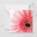 Recherche de gerbera correspondances cartes Marguerie