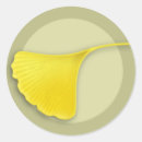 Recherche de feuille de ginkgo autocollants Chute