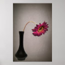 Recherche de accrocher posters Rose
