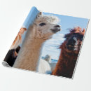 Recherche de pérou papier cadeau Animal