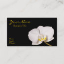 Recherche de orchidée noire cartes visite Floral