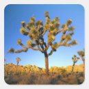 Recherche de joshua tree autocollants Personne