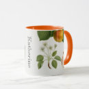 Recherche de illustrations vintages de fruit tasses Botanique vintage