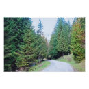 Recherche de nature sauvage posters Forêt