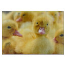 Recherche de animaux planches à découper Oiseau