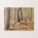 Recherche de mâle puzzles Whitetail
