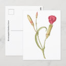 Zoek naar dianthus posters Vintage
