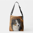 Recherche de border collie sacs Colley