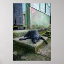 Recherche de relaxation photographie Destinations de voyage