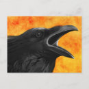 Zoek naar raven briefkaarten Magisch