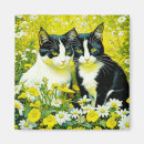 Recherche de noir et blanc chat magnets Chats noirs et blancs