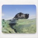 Recherche de angles tapis souris Bleu