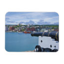 Recherche de terre neuve magnets St john's