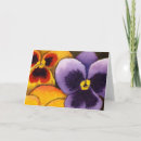 Zoek naar pansy kaarten Waterverf