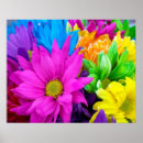 Recherche de coloré posters Jaune