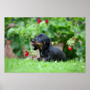 Recherche de march 8 posters Fleurs