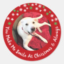 Recherche de animal comique autocollants Pour tous