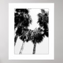 Recherche de palmier noir et blanc posters Arbre