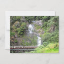 Recherche de queensland cartes postales Australie