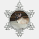 Recherche de chat siamois ornements Yeux bleus
