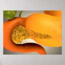 Recherche de organes posters Estomac
