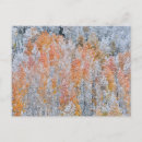 Recherche de montagnes rocheuses cartes postales Montagne rocheuse