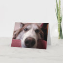 Recherche de chien désolé vœux cartes Mignon