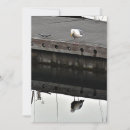 Recherche de mouette invitations Eau