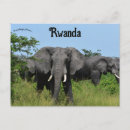Recherche de rwanda cartes postales Afrique