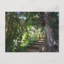 Recherche de forêts tropicales cartes postales Arbres