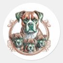 Recherche de chien boxer autocollants Amoureux des chiens