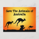 Recherche de animaux australie cartes postales Kangourou