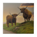 Zoek naar cowboy tegels Zonsondergang