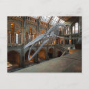 Recherche de squelette de dinosaure posters Histoire