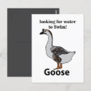 Recherche de klaxons cartes postales Oiseau