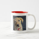 Recherche de chiot labrador tasses Photographie