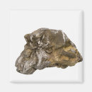 Zoek naar chemische magneten Natuurwetenschappen