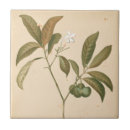 Recherche de cobalt carreaux Décoratif