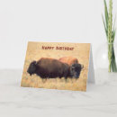 Recherche de bison anniversaire cartes Prairie