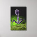 Recherche de biologie moléculaire posters Bactéries