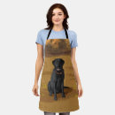Recherche de labrador tabliers Labo noir