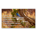 Recherche de merles cartes visite Nature