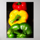 Recherche de poivron vert posters Légumes