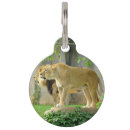 Recherche de lion animaux articles Faune